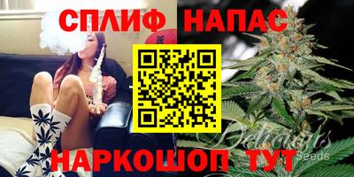 наркотики Ачхой-Мартан