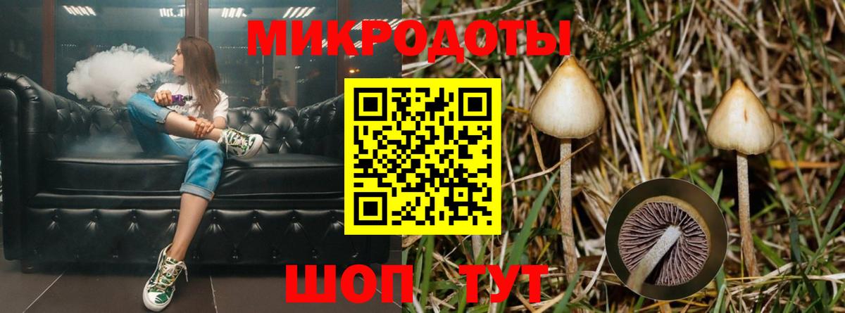 Псилоцибиновые грибы мицелий  что такое наркотик  Ангарск  Вход с VPN 